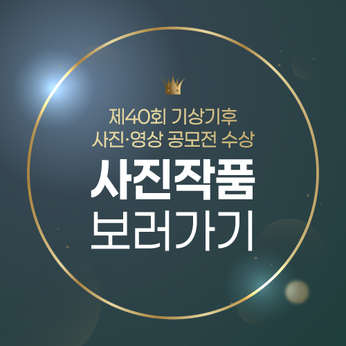 40회 사진 갤러리