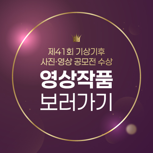 41회 영상 갤러리