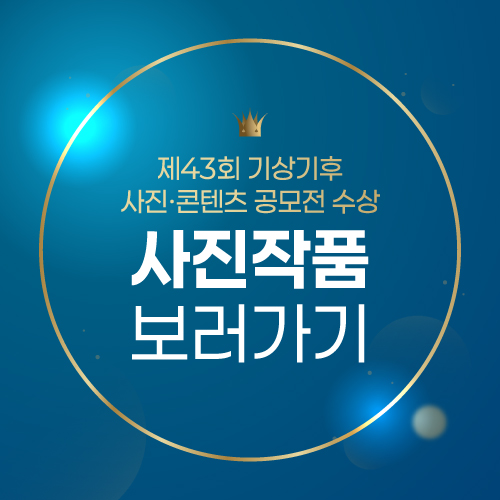 43회 사진 갤러리