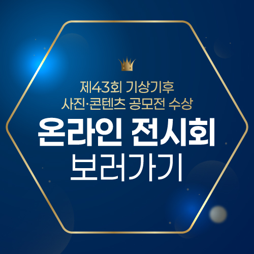 43회 온라인 전시회